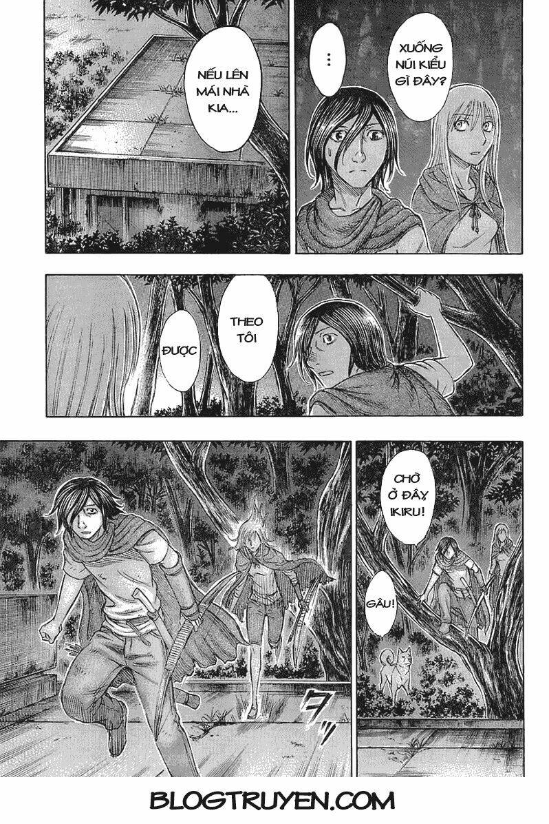 page_10.jpg