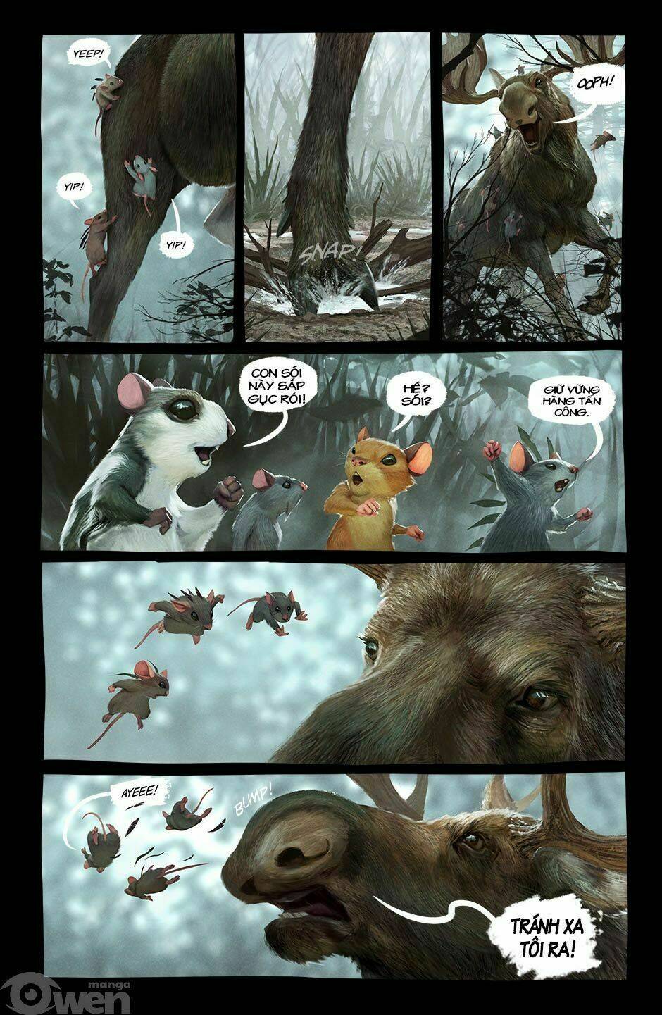 page_11.jpg