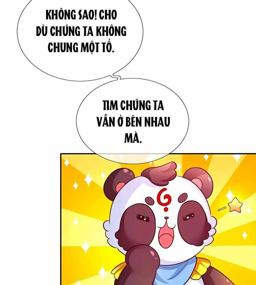 page_25.jpg