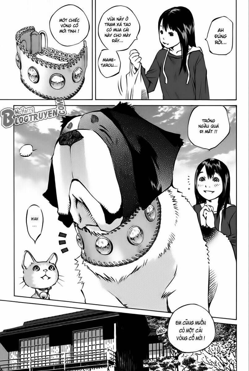 page_40.jpg