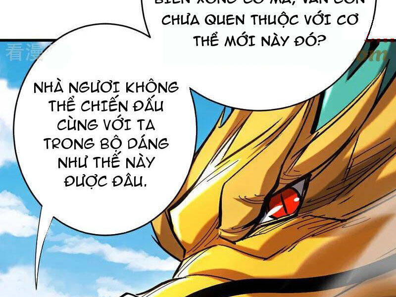 page_25.jpg