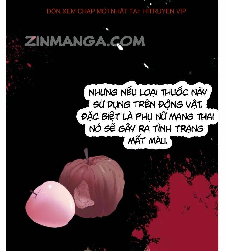 page_18.jpg