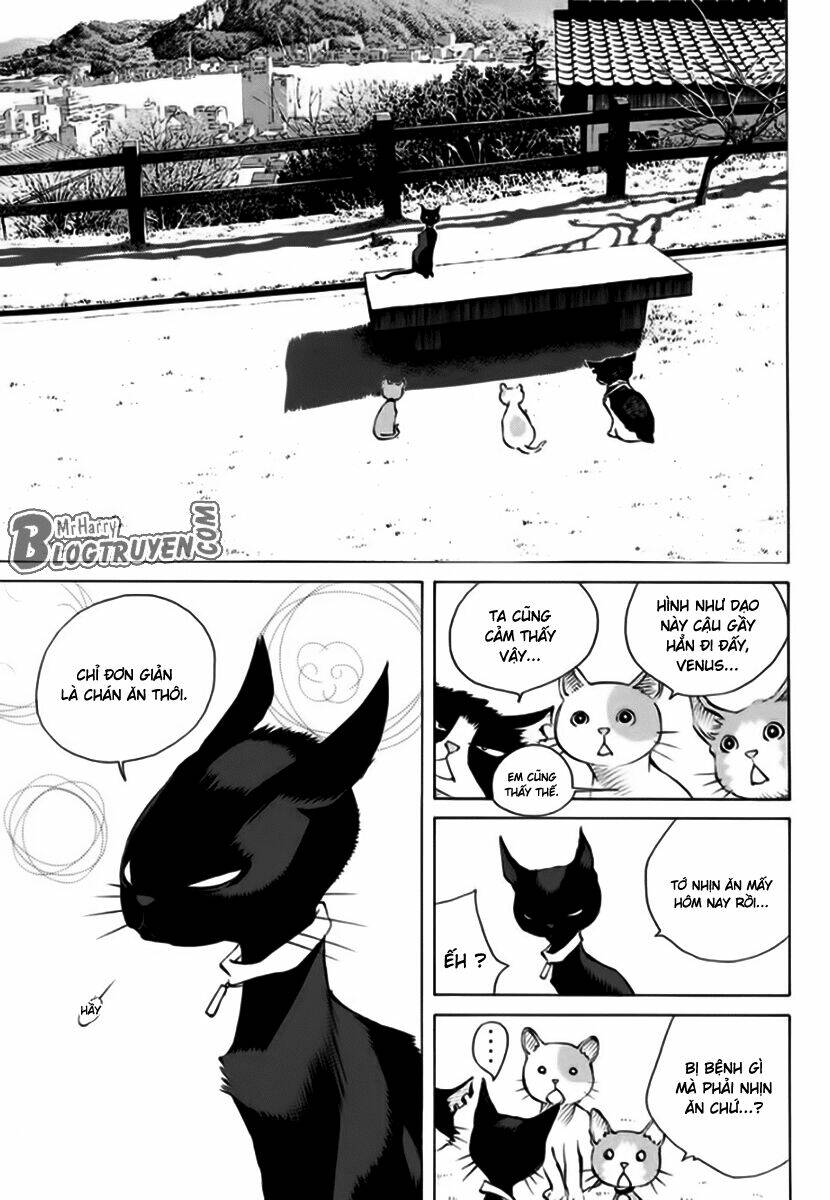 page_18.jpg