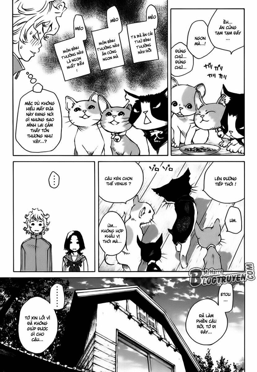 page_24.jpg