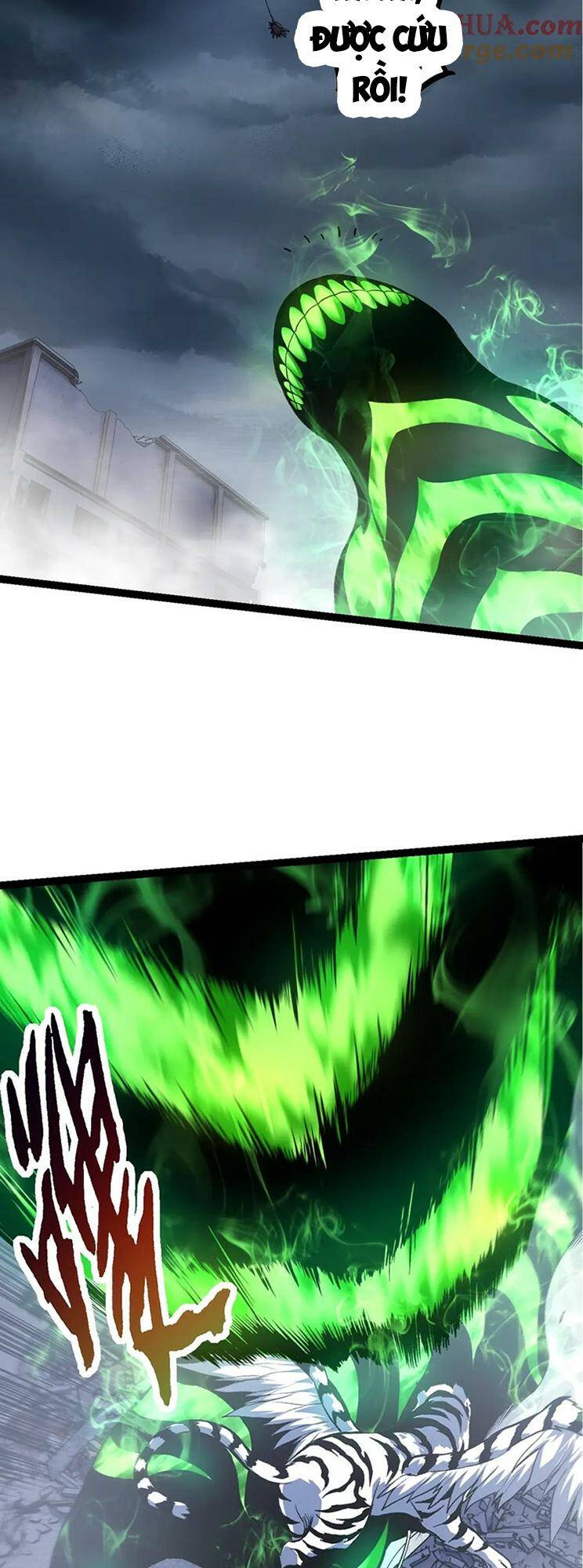 page_29.jpg