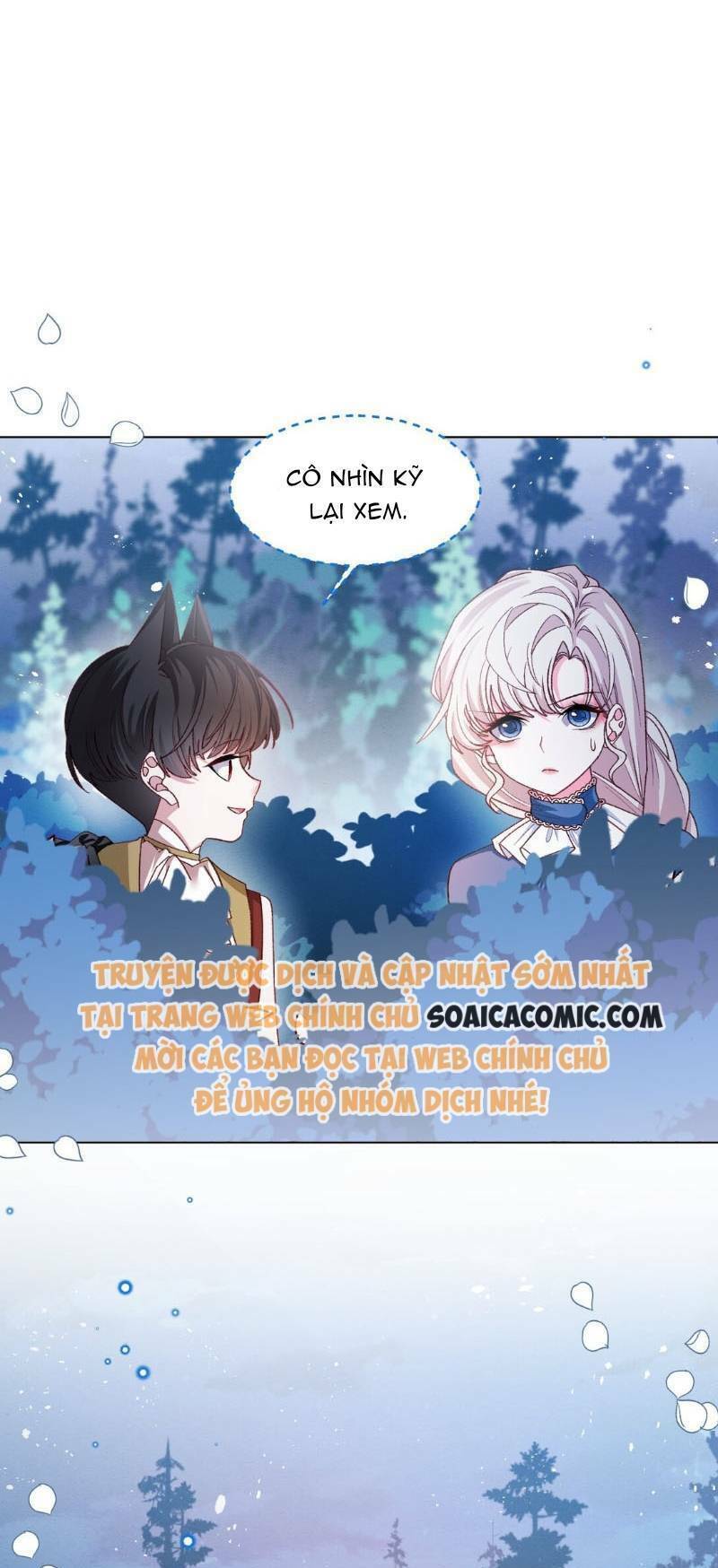 page_29.jpg