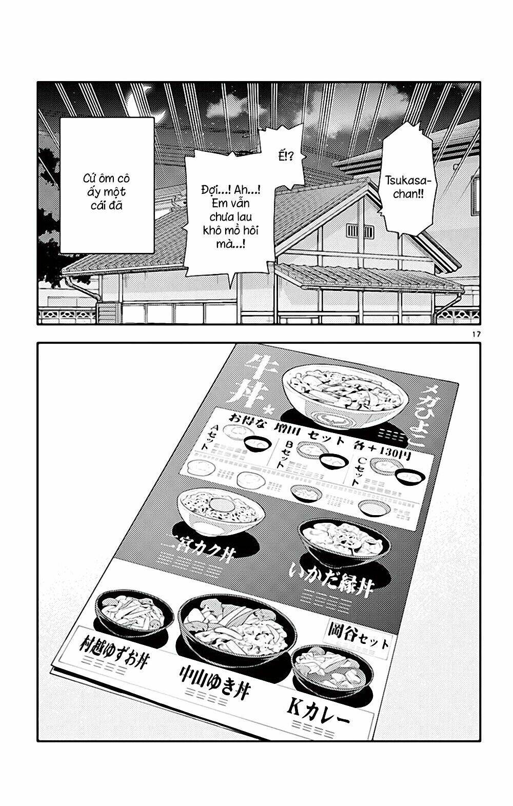 page_17.jpg