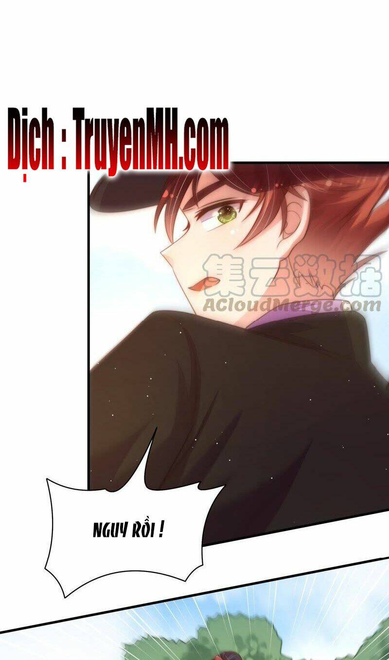 page_14.jpg