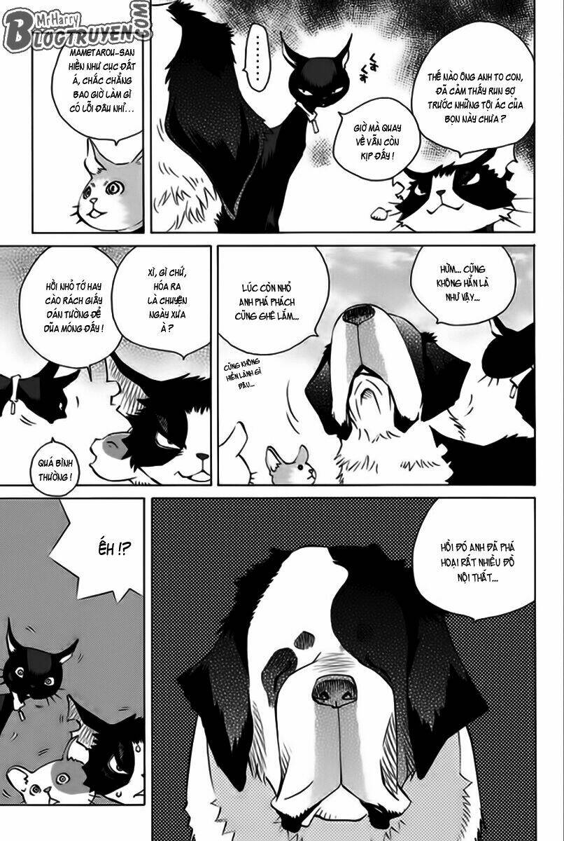 page_16.jpg