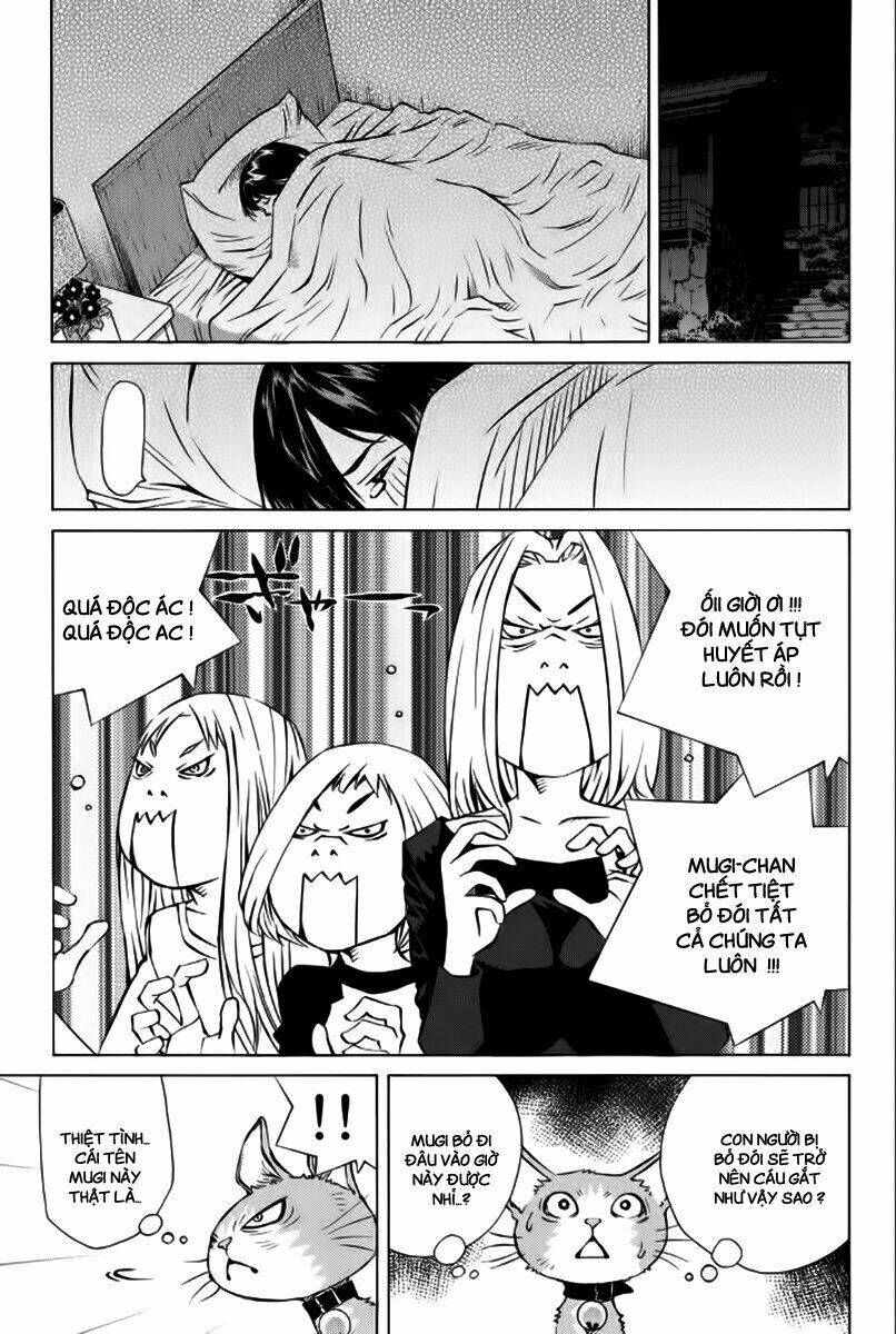 page_16.jpg