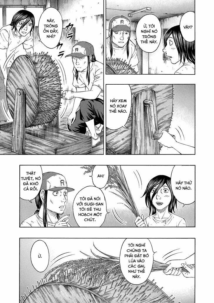 page_11.jpg