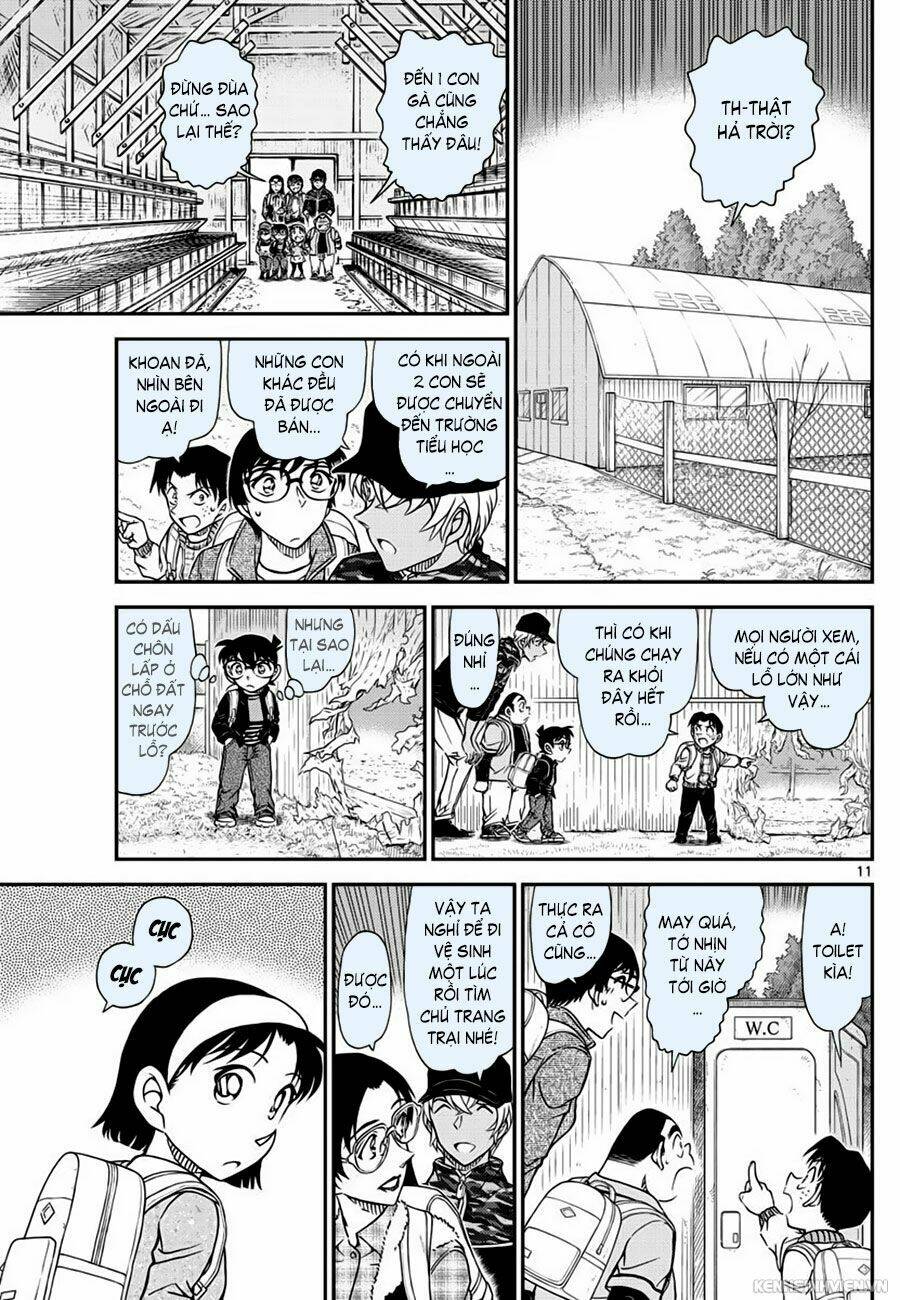 page_11.jpg