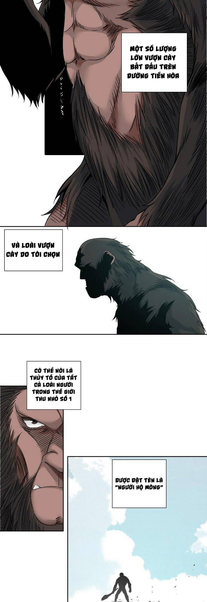page_17.jpg