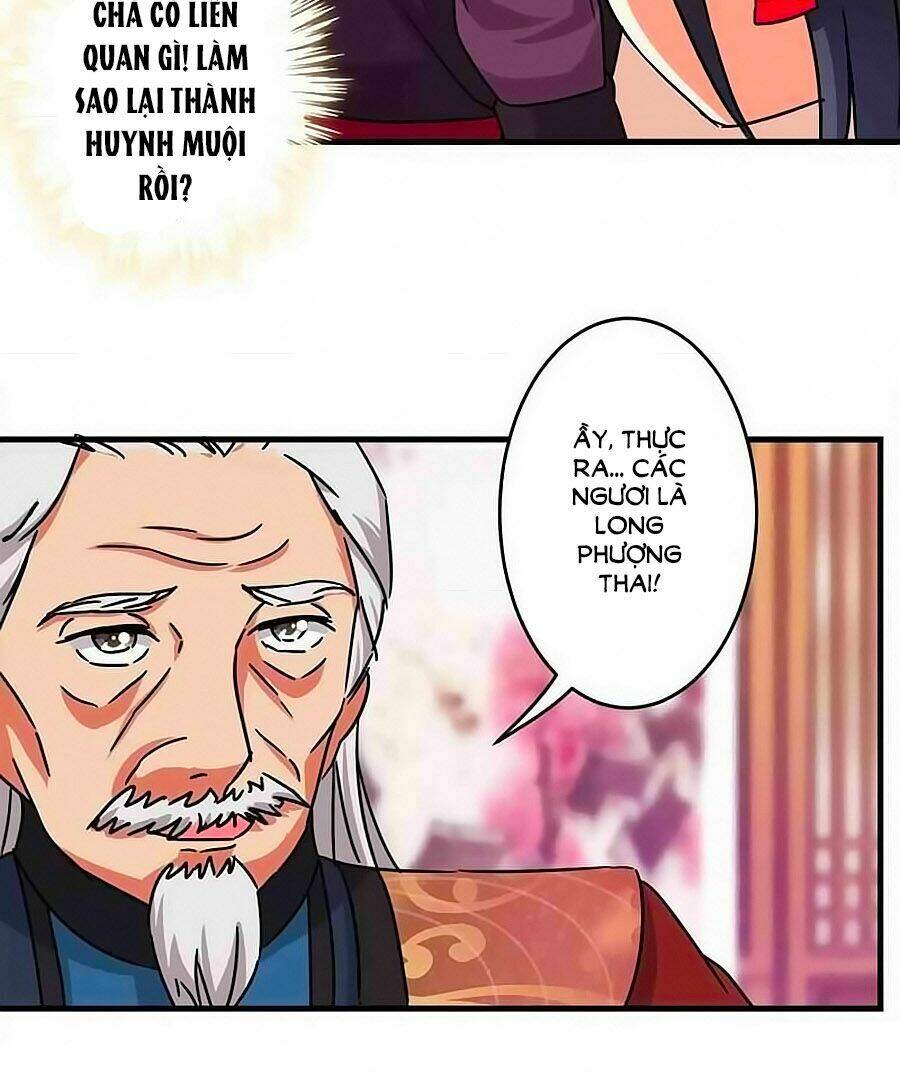 page_17.jpg