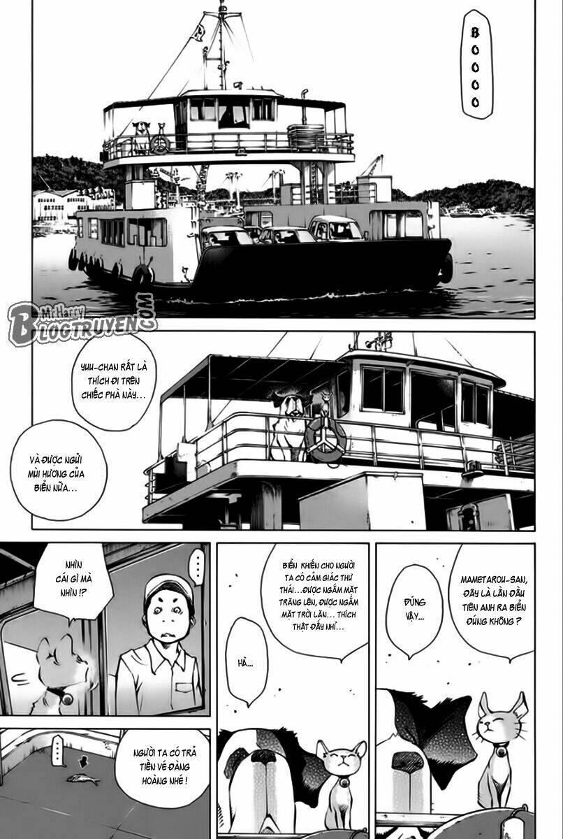 page_30.jpg