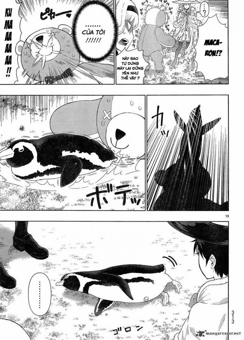 page_13.jpg