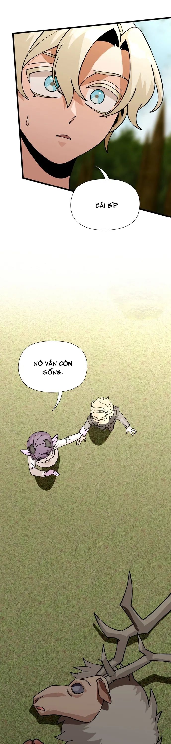 page_23.jpg