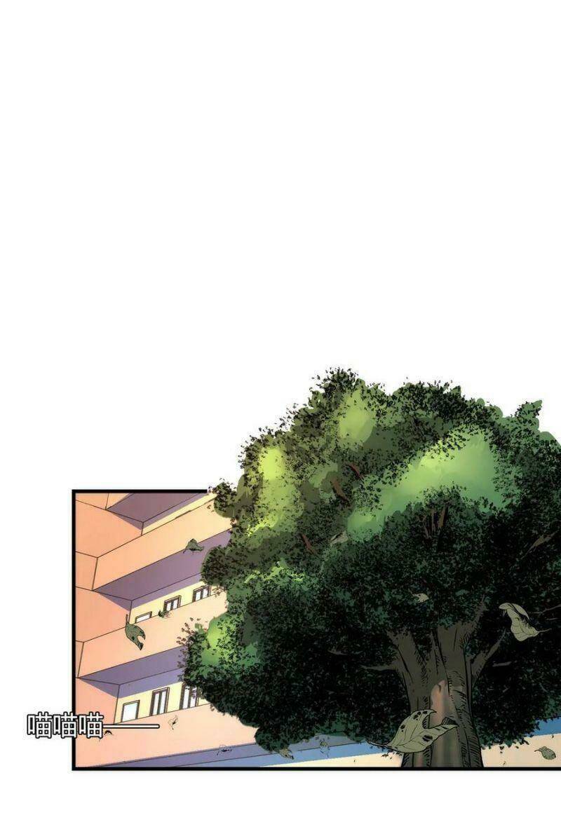 page_29.jpg