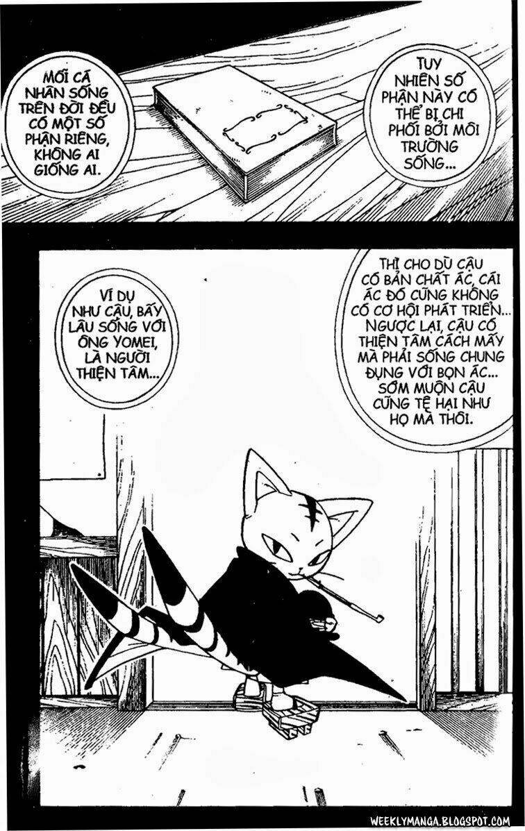 page_20.jpg