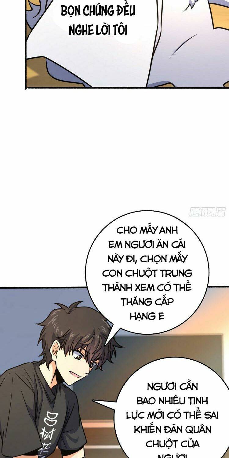 page_14.jpg