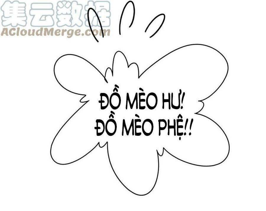 page_47.jpg