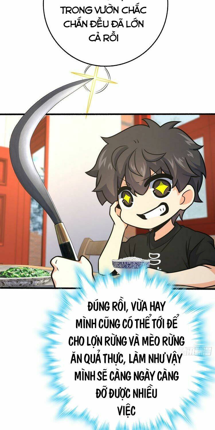 page_31.jpg