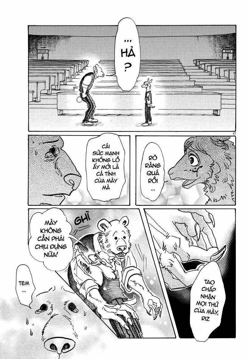 page_17.jpg