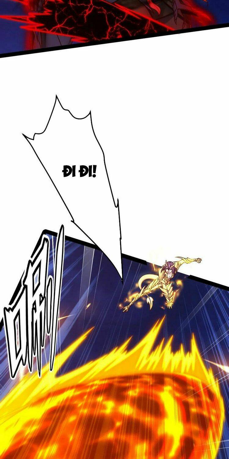 page_17.jpg