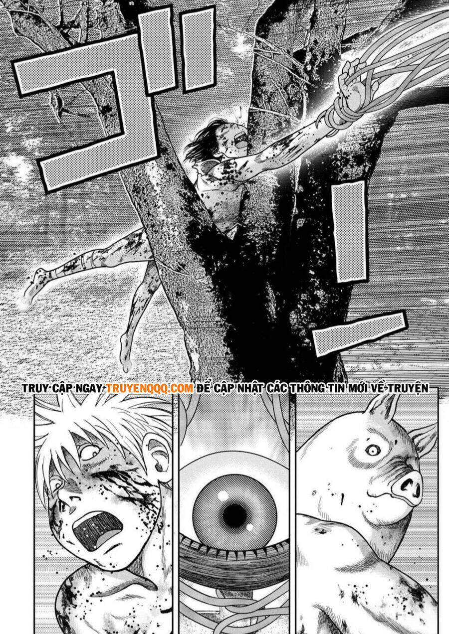 page_20.jpg