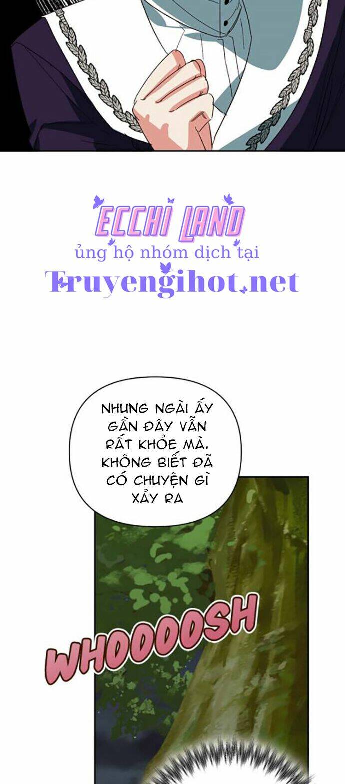 page_25.jpg