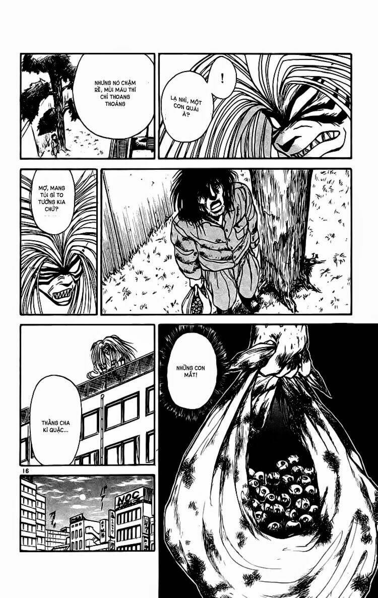 page_17.jpg