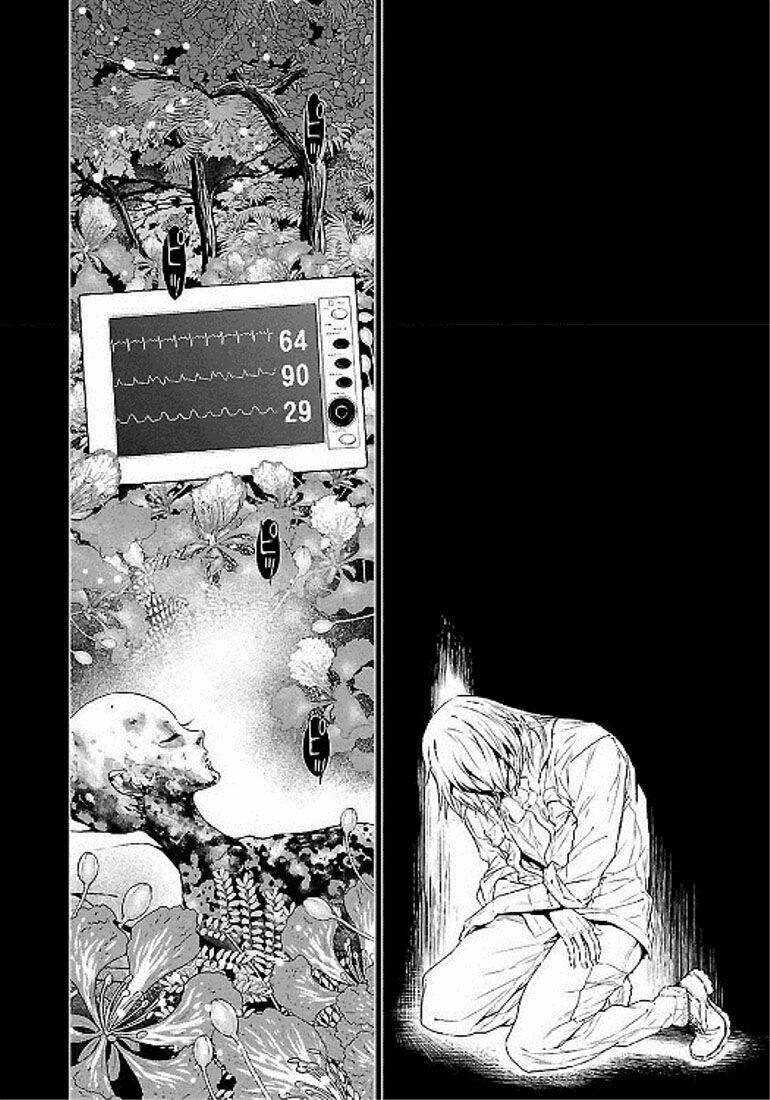 page_16.jpg