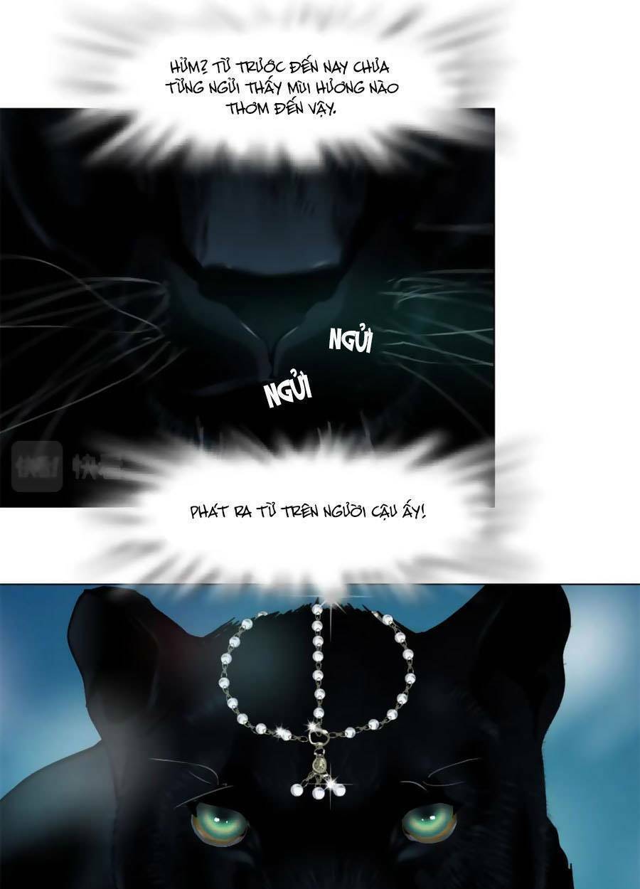 page_28.jpg