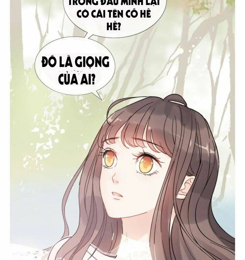 page_21.jpg