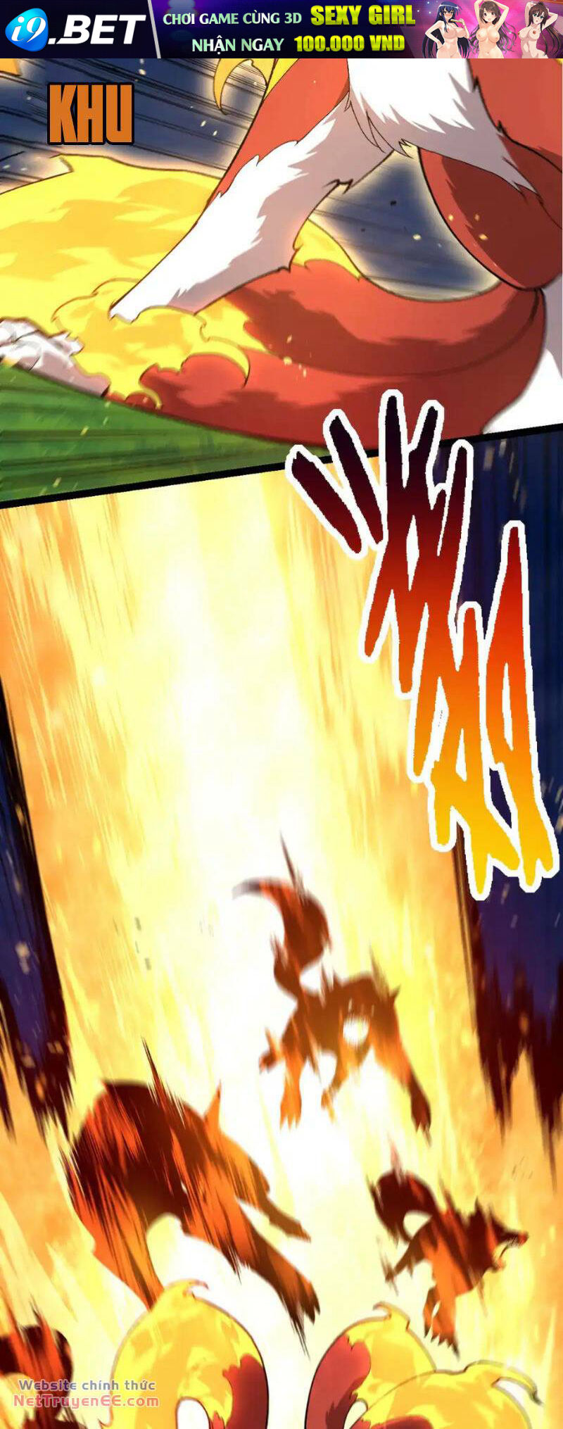 page_24.jpg