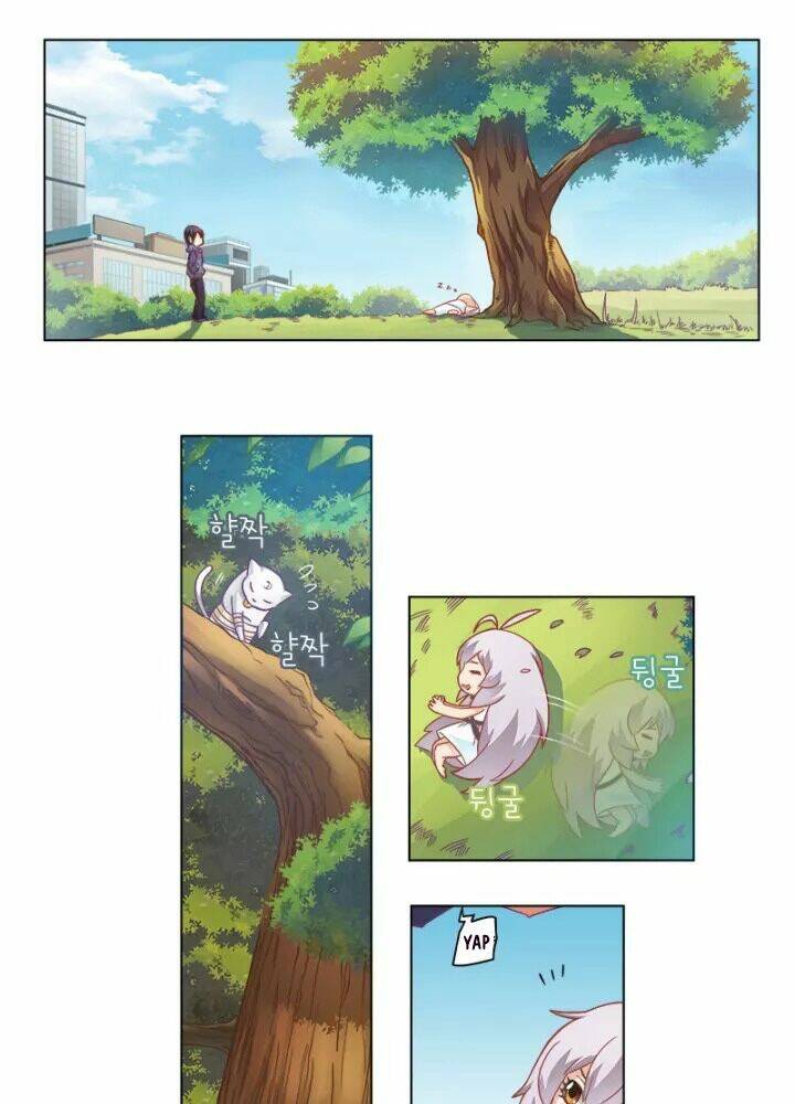 page_19.jpg