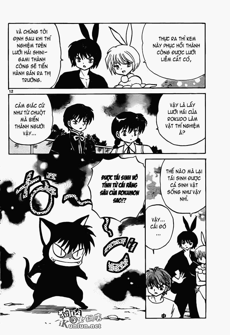 page_13.jpg