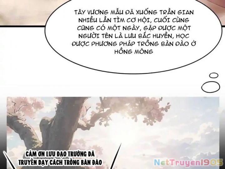 page_44.jpg