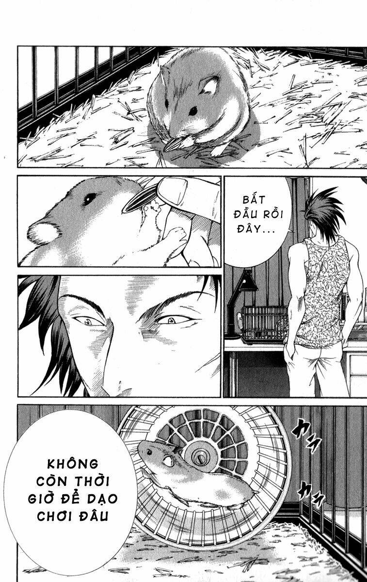 page_15.jpg