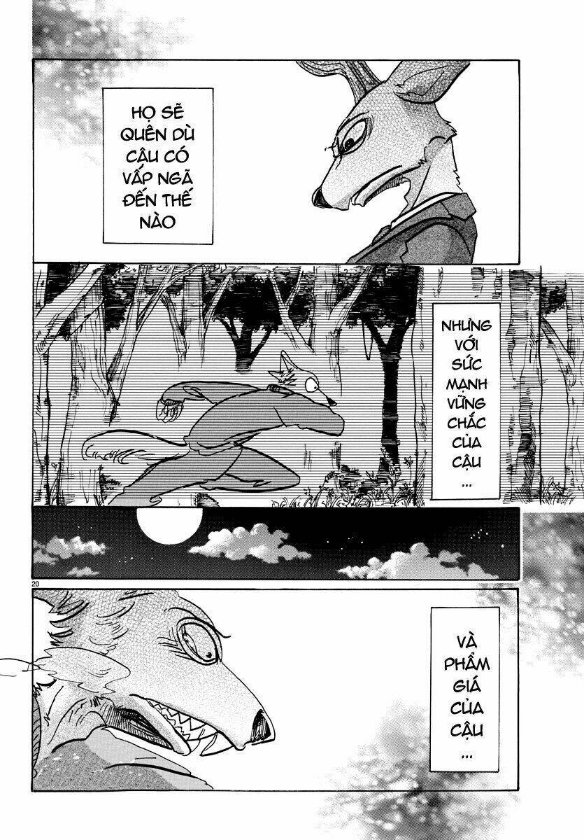 page_21.jpg