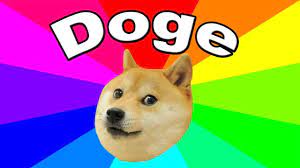 doge.jpg