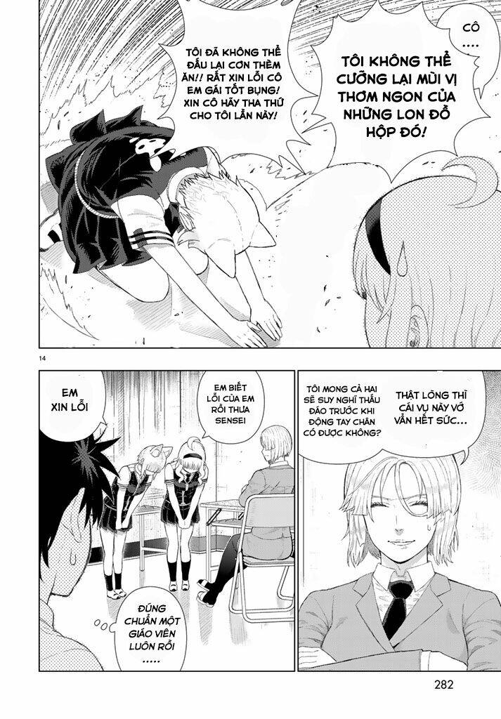 page_14.jpg