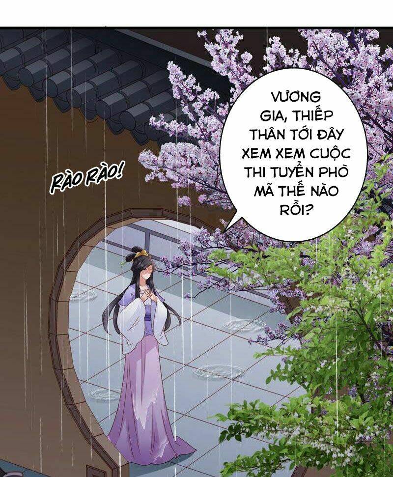 page_17.jpg
