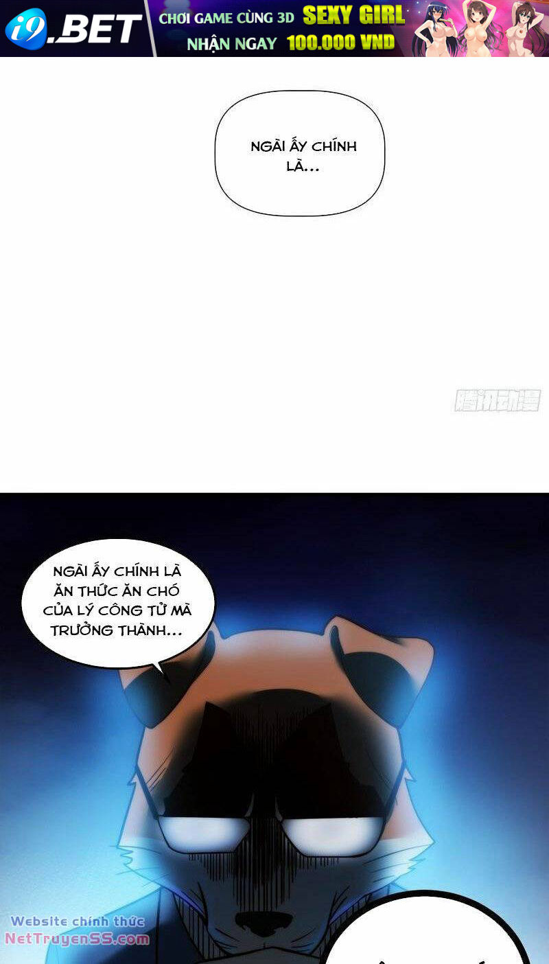 page_28.jpg