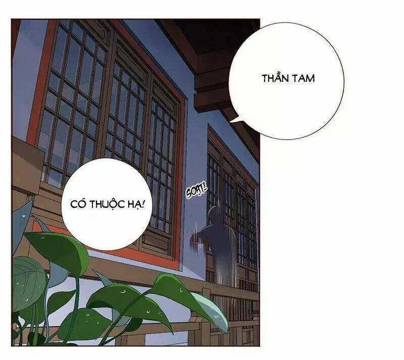 page_28.jpg