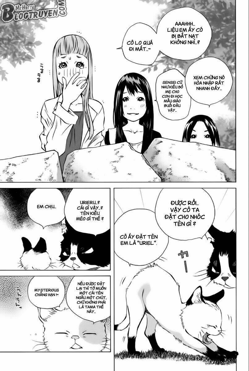page_24.jpg