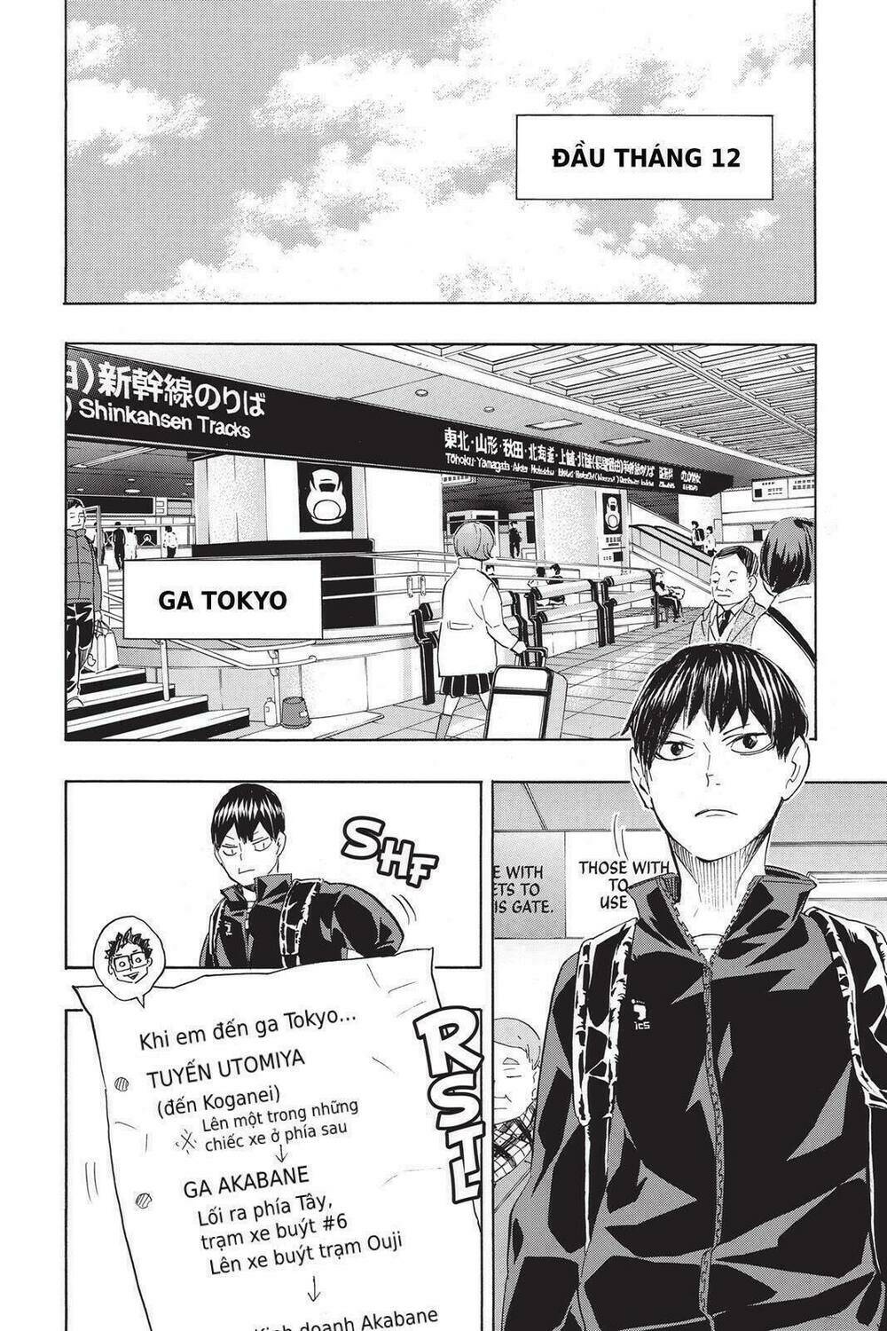 page_17.jpg