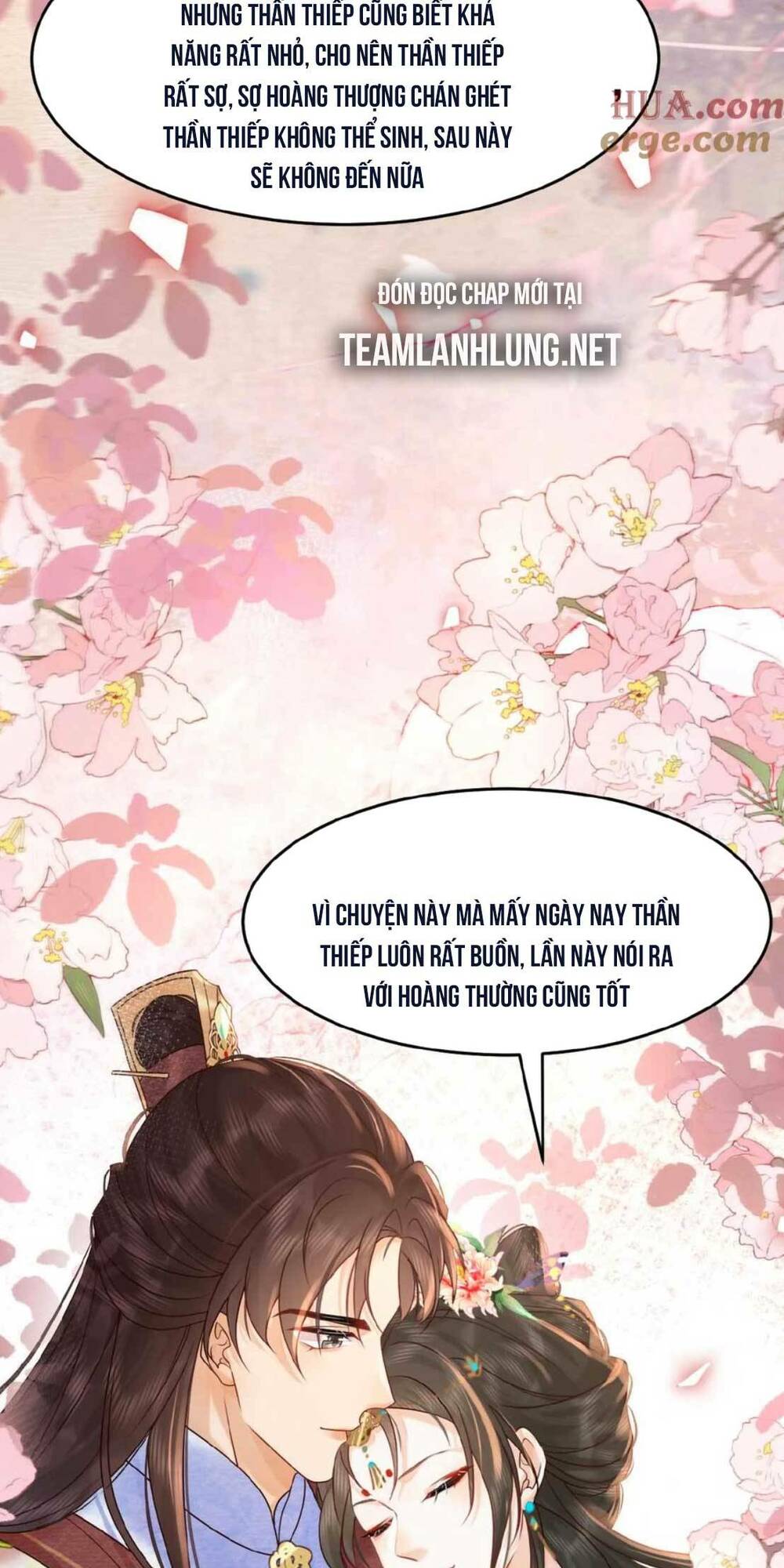 page_25.jpg