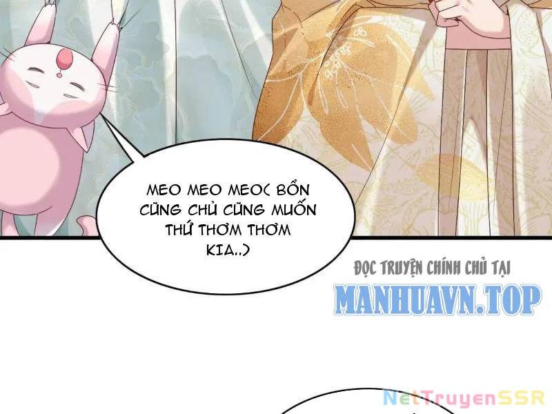 page_41.jpg