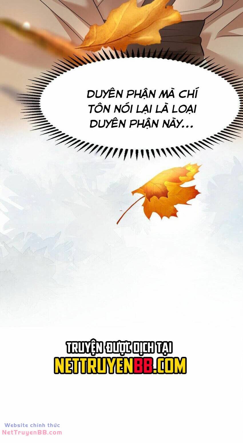 page_27.jpg